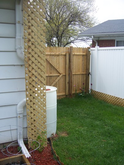 Rain Barrel