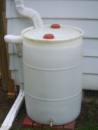 Rain barrel