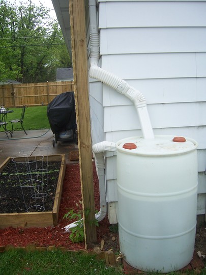 Rain Barrel