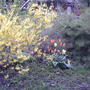 2008-05-02_pet_cemetary