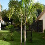 Dscn0600
