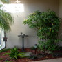 Dscn0601