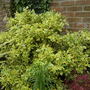 Sat_3_may_001