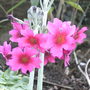 Sat_3_may_009