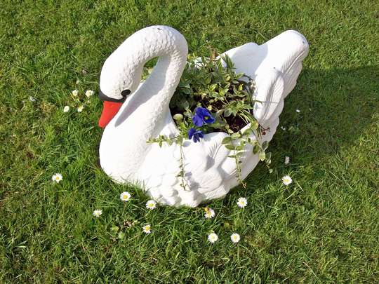 Swan planter Now :)