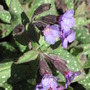 Img_3796