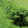 Dscn0733
