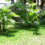 Dscn0729