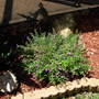 Dscn0727