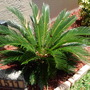 Dscn0741