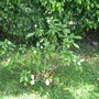 Dscn0738
