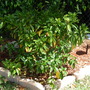 Dscn0740