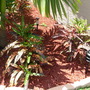 Dscn0744