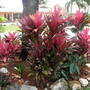 Dscn0745
