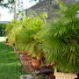 Dscn0609
