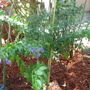Dscn0747
