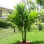 Dscn0730