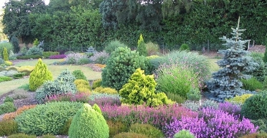 Foxhollow garden view