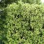 Sat_3_may_011