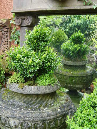 The classical urn in front the Temple Folly Ruin