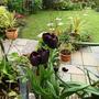 Sat_3_may_040