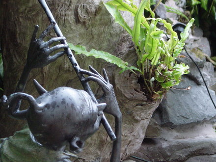 Looking towards part of The Stumpery.