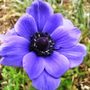 Sat_3_may_022