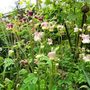 Sat_3_may_024
