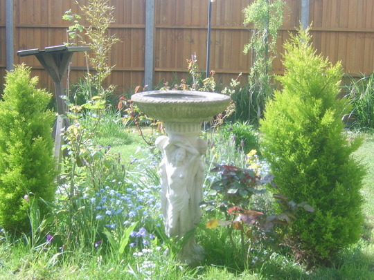 28th_April_08_057.jpg
