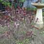 Pics_4