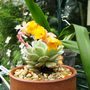 Sat_3_may_027