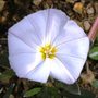 Sat_3_may_032