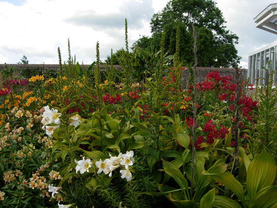 Mixed Border