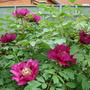 Dscn1690