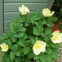 Dscn1689