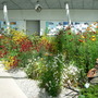 Dscn0714