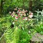 Sat_3_may_054