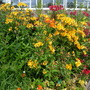 Dscn0696