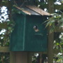Brens_photos_262