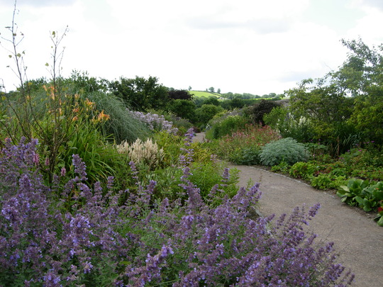 Another border