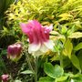 Sat_3_may_049
