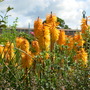 Dscn0703