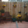 My_documents_my_pictures_060
