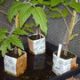 My_documents_my_pictures_063