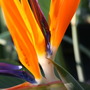 Picture_027