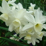 Dsc00830