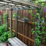 Camraw_028