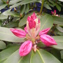 Pict0037