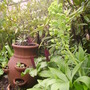 Pict0024