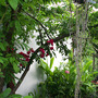 Camraw_015